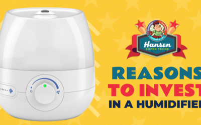6 Reasons Why You Should Invest in a Humidifier for Your Health and Home Environment