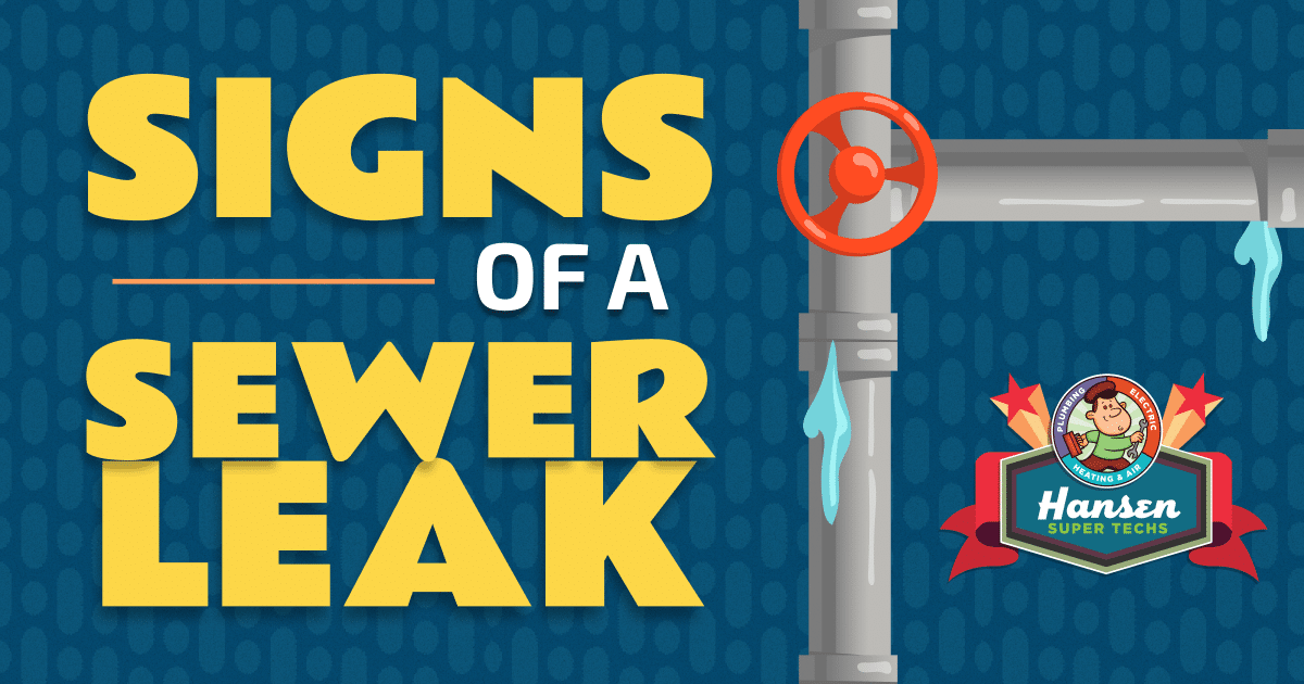 Signs of a Sewer Leak