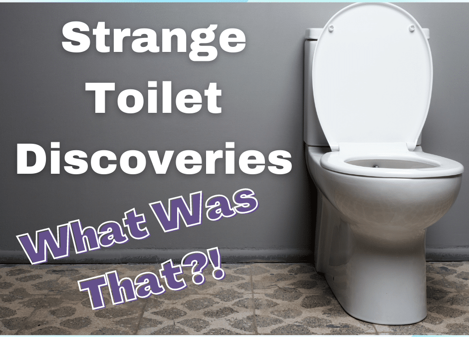 Strange Toilet Discoveries