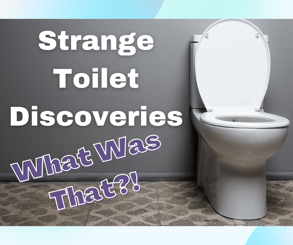 Strange Toilet Discoveries