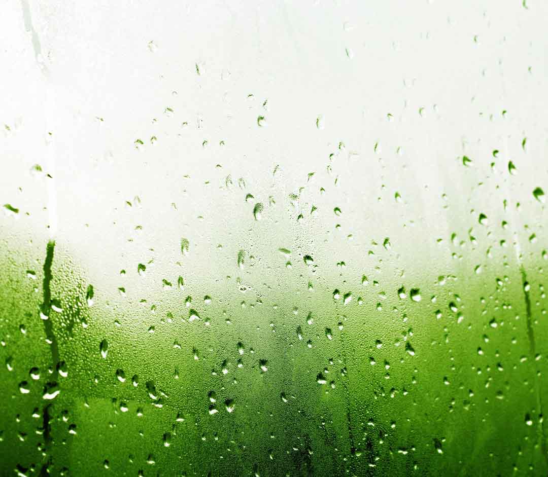 Humidity in Alabama