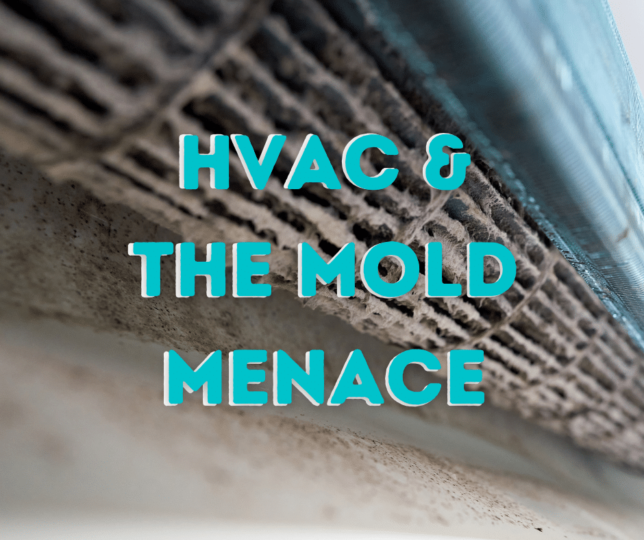 HVAC and the Mold Menace